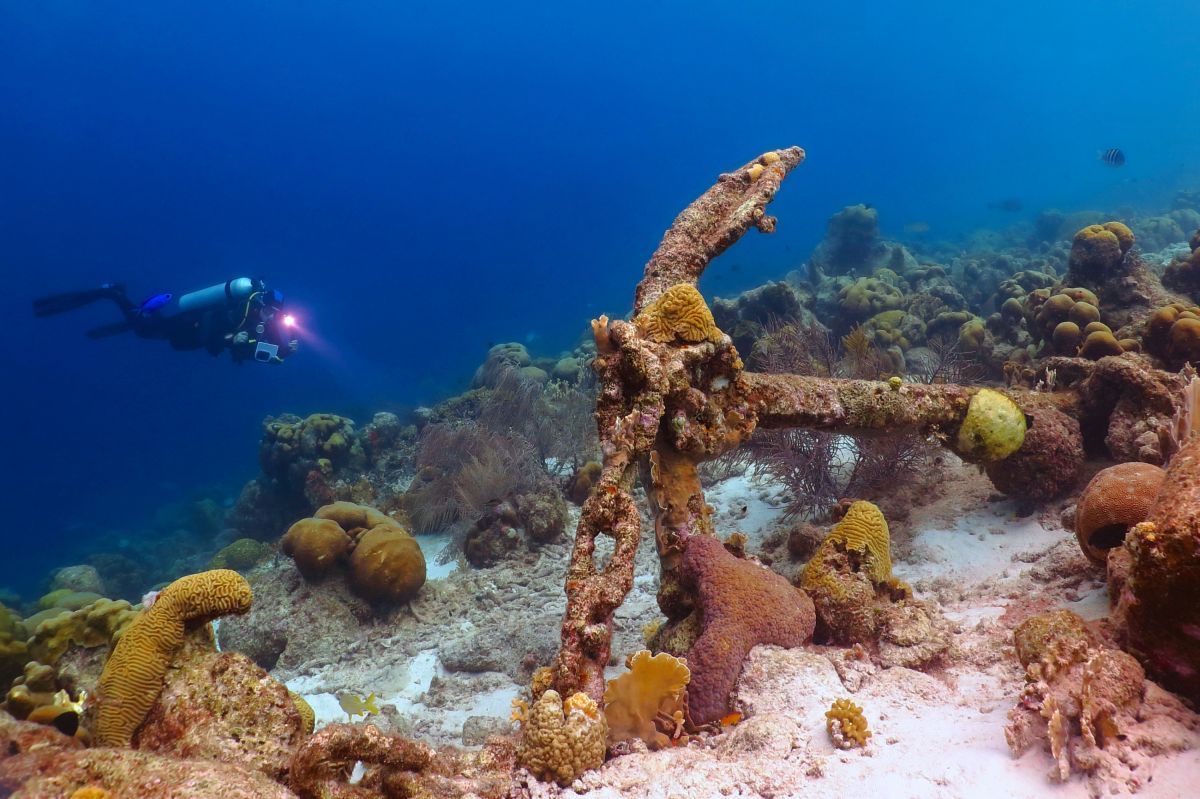 Diver exploring a coral reef on an old anchor in Grenada